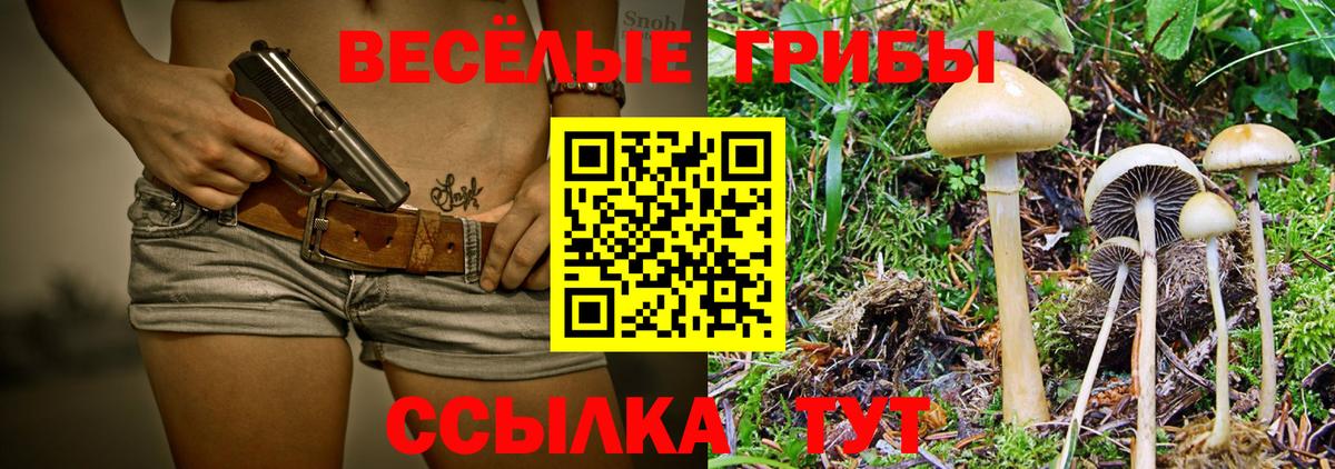 Галлюциногенные грибы мухоморы  Вход с VPN  продажа наркотиков  Архангельск 