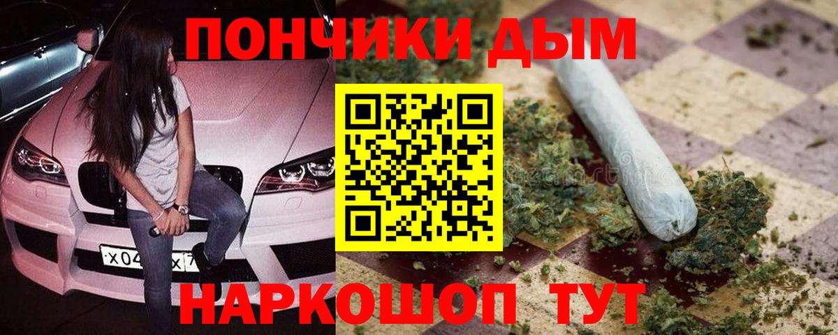 Бошки Шишки план Архангельск